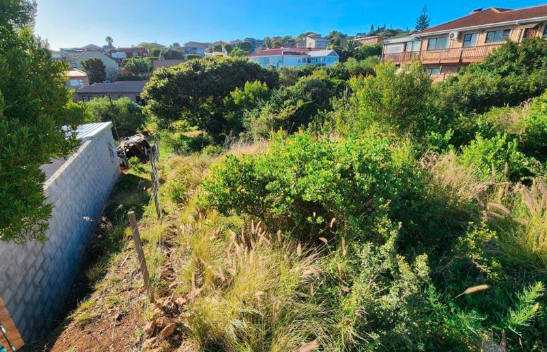 0 Bedroom Property for Sale in Dana Bay Western Cape